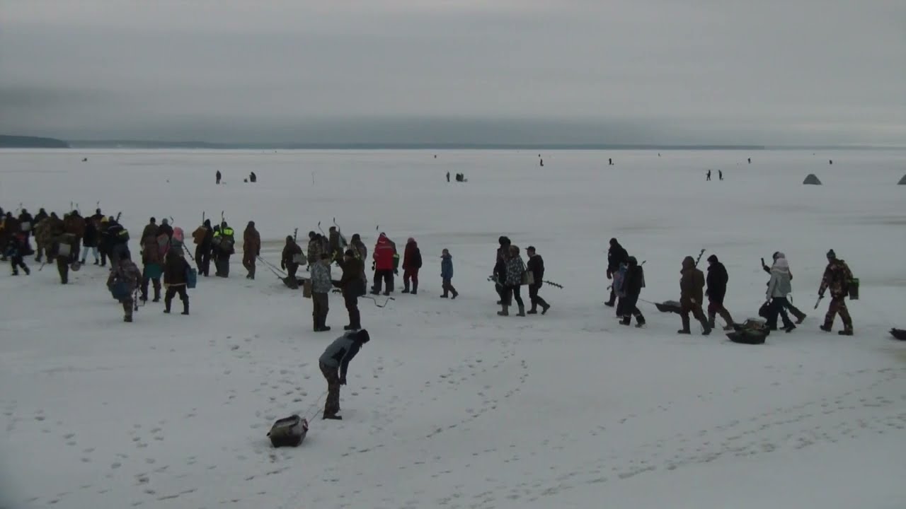 Пучежская рыбалка. Ч.1. Начало.