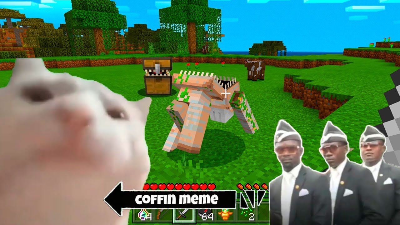 Best of Cat Vibing Coffin Meme - Minecraft