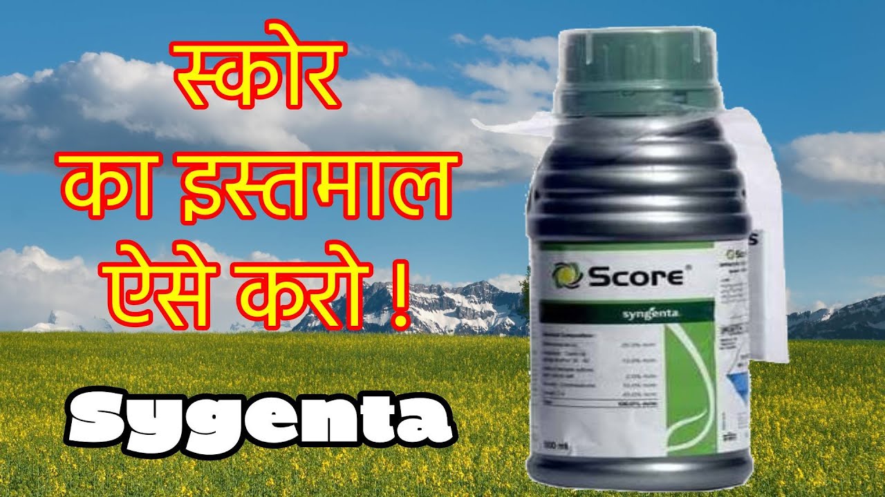 Score Fungicide/score syngenta/difenconazole25ec/score fungicide price
