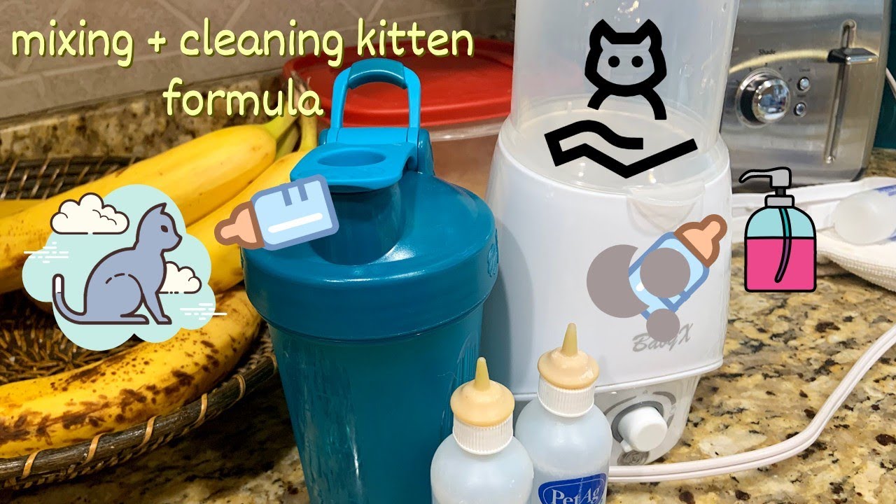 How to Prepare Kitten Formula + How to Clean and Sanitize Kitten Bottles After Feeding
