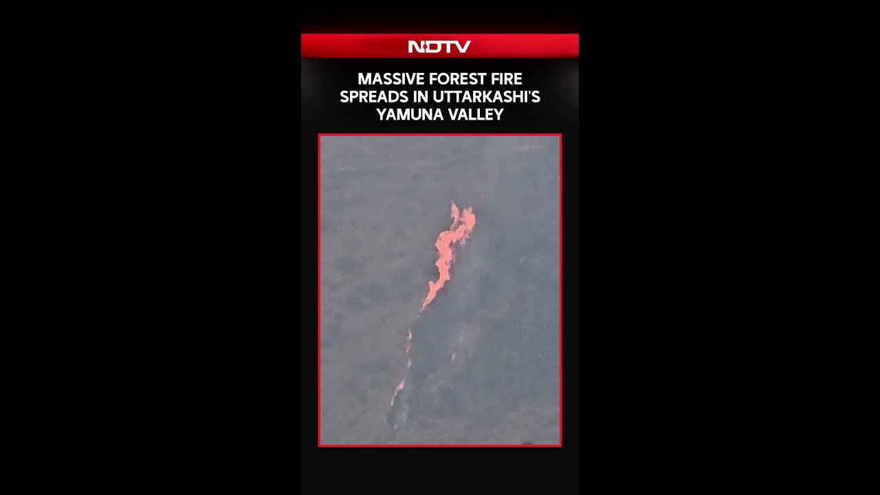 Uttarakhand Forest Fire | Massive Forest Fire Spreads In Uttarkashi's Yamuna Valley