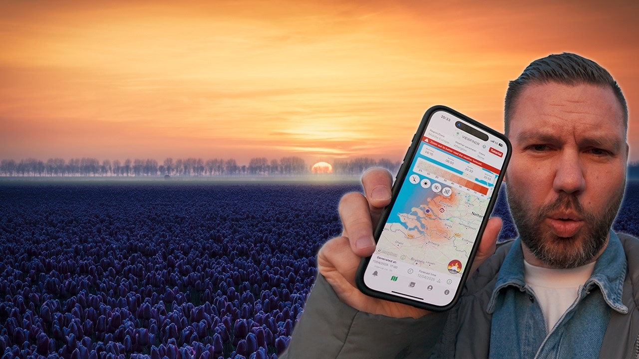 Tulpen fotograferen tijdens zonsondergang - IAM BACK!