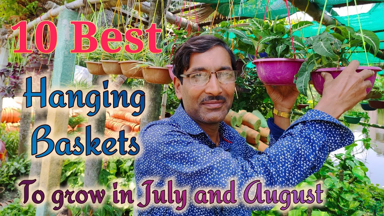 10 Best Hanging Baskets Plants you can Grow in Monsoon Season
