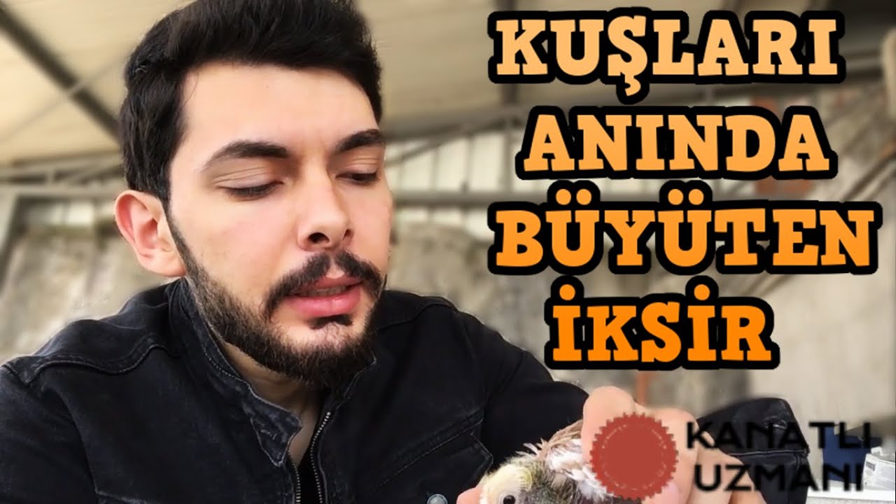 YAVRULARI ANINDA GELİŞTİREN VİTAMİN