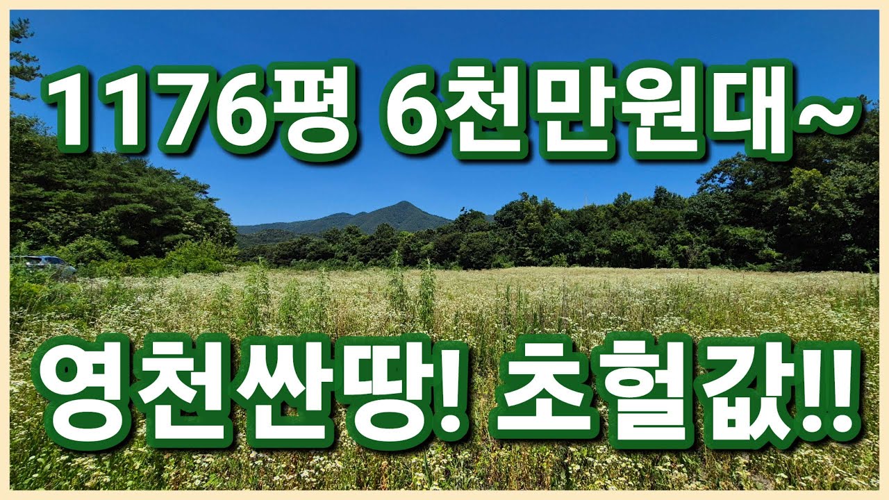 [낙찰]영천시 화북면 6천만원대 1176평 영천싼땅 농지연금으로 추천드리는 법원경매 진행중인 영천토지 보러오세요