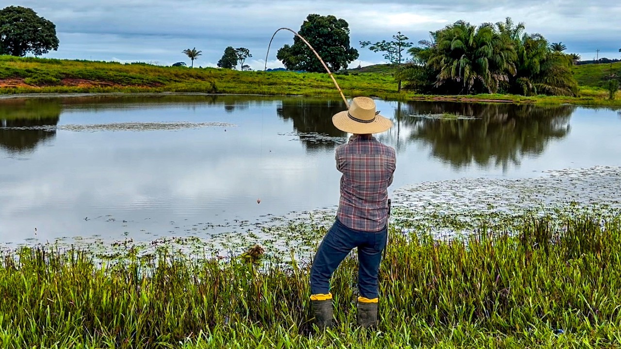 Essa Lagoa vai te surpreender. Pescaria Raiz de Traíra na vara de Bambu - Fizemos almoço no lago