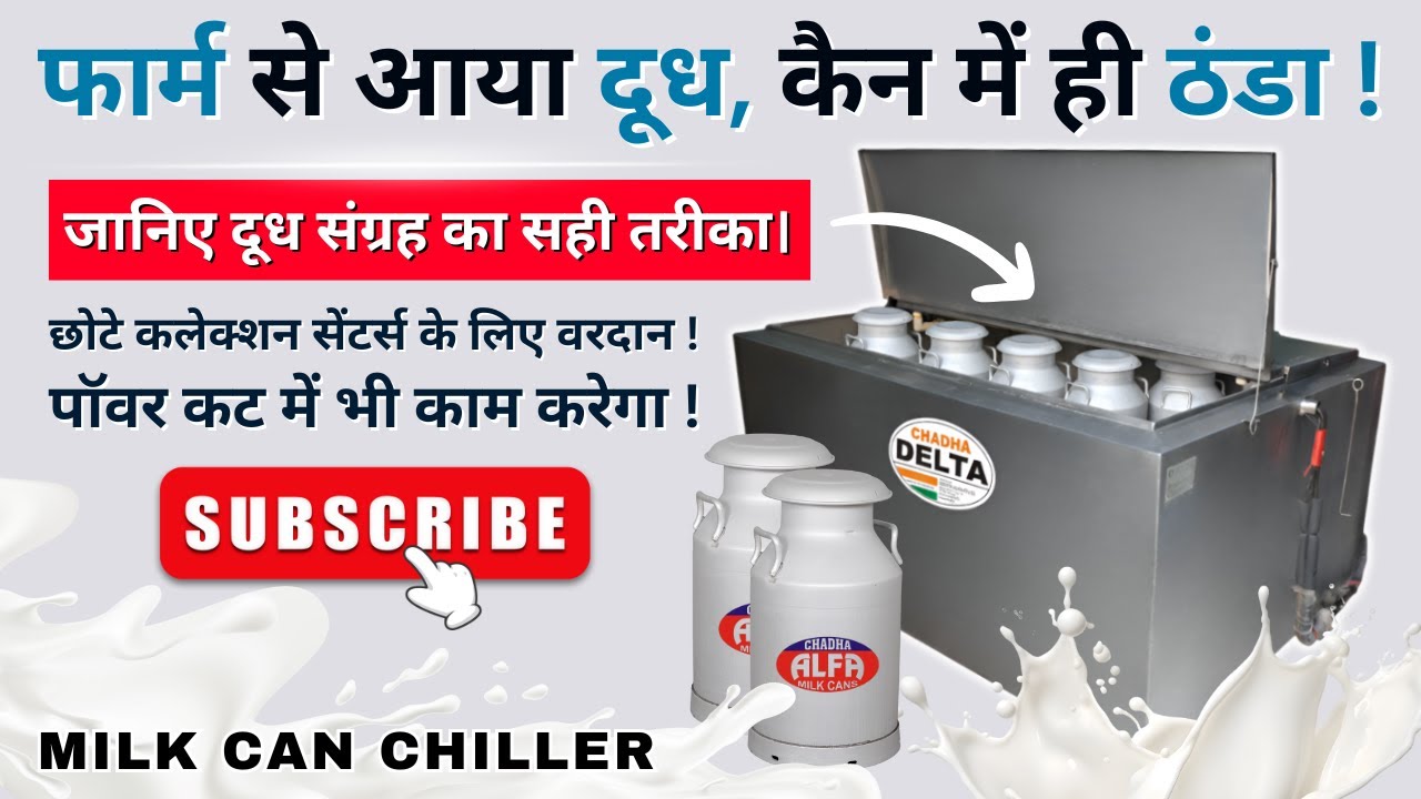 Chadha Alfa Milk Can Chiller: Traditional Cans, Modern Cooling - The Future is Here!
