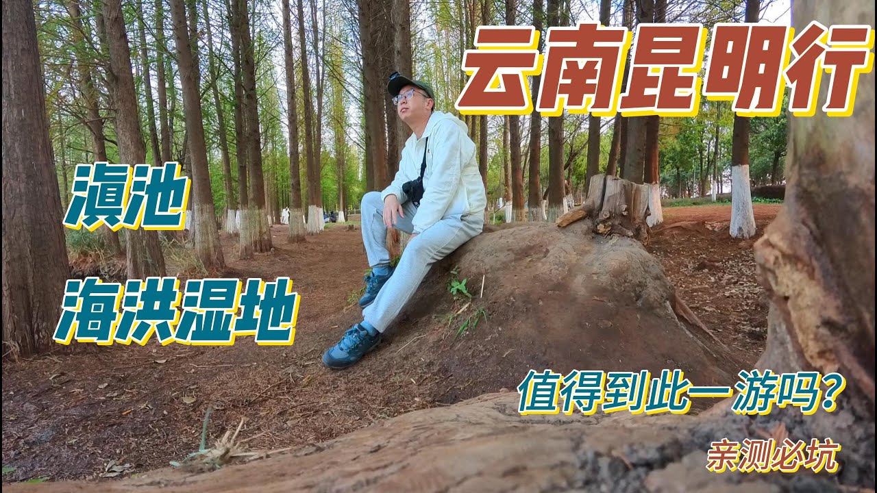 【昆明】滇池&海洪湿地|计划云南昆明行者，必看之，切勿错过！#云南#昆明#旅行#travel#china#滇池