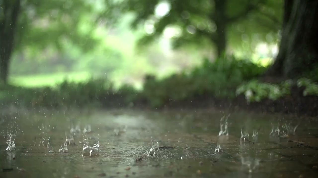 Rain Drop Video in Super Slow Motion.
