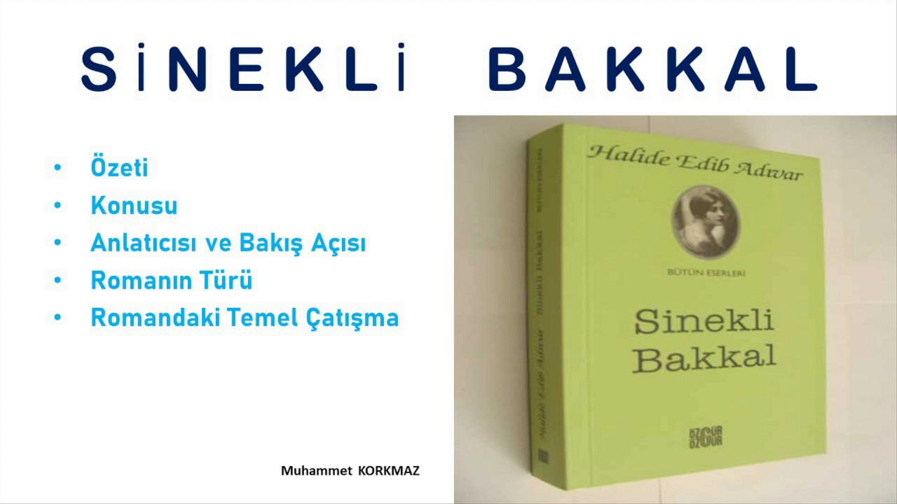 SİNEKLİ  BAKKAL  ROMANININ ÖZETİ VE İNCELENMESİ