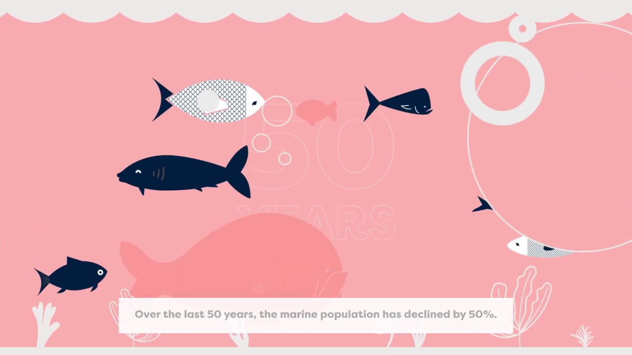 Responsibly sourced fish and seafood