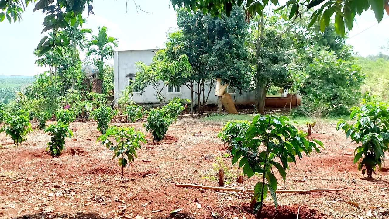 ĐÃ BÁN,,,,,, vườn ao cá, Đường nhựa, sẵn 100m²thổ cư. S  10.000m²,giá 1ty350tr bao sổ 