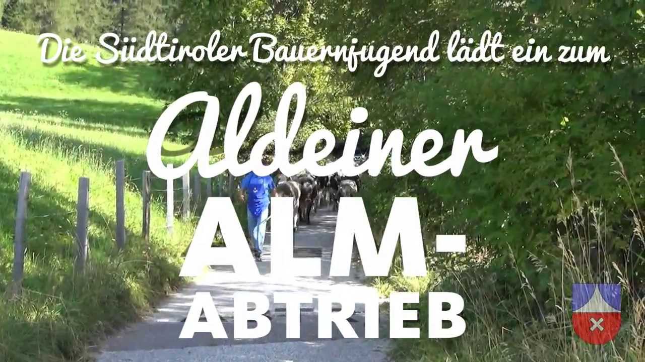 Aldeiner Almabtrieb 2013