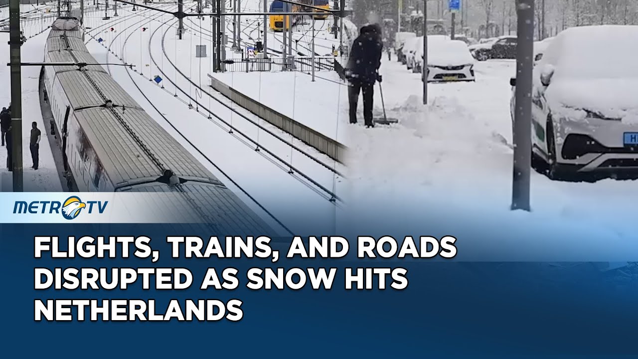 Heavy Snowfall Disrupts Travel Across Netherlands