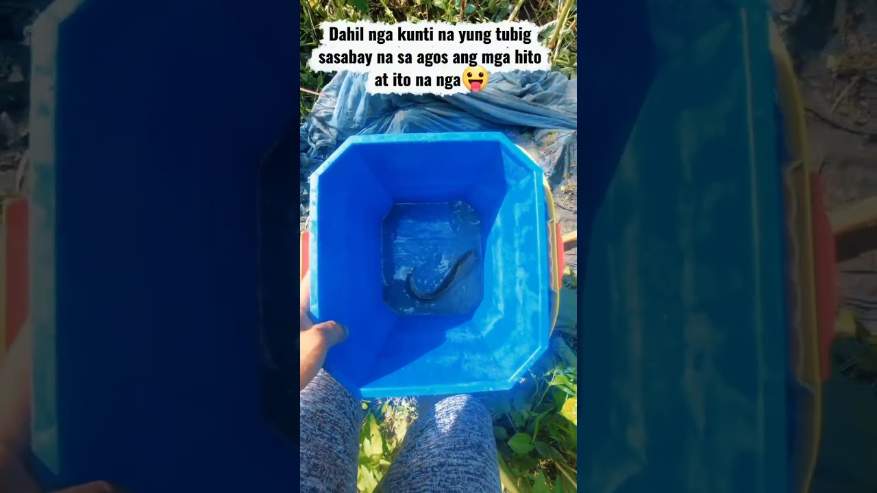 Buhay probinsiya