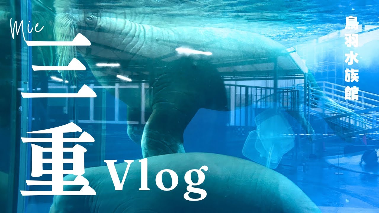 【三重vlog】日本でここだけ！ラッコに会える鳥羽水族館が最高すぎた🦦🐬🦩