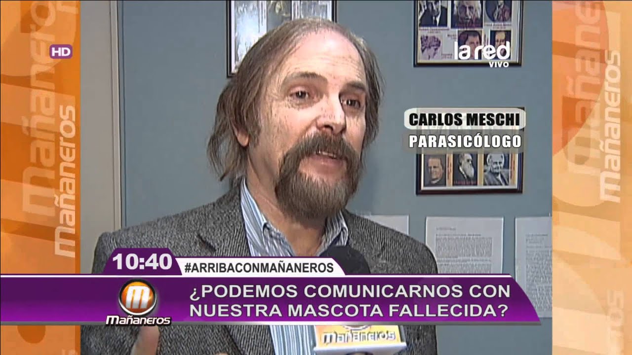 ¿Podemos continuar la relación con nuestras mascotas fallecidas?