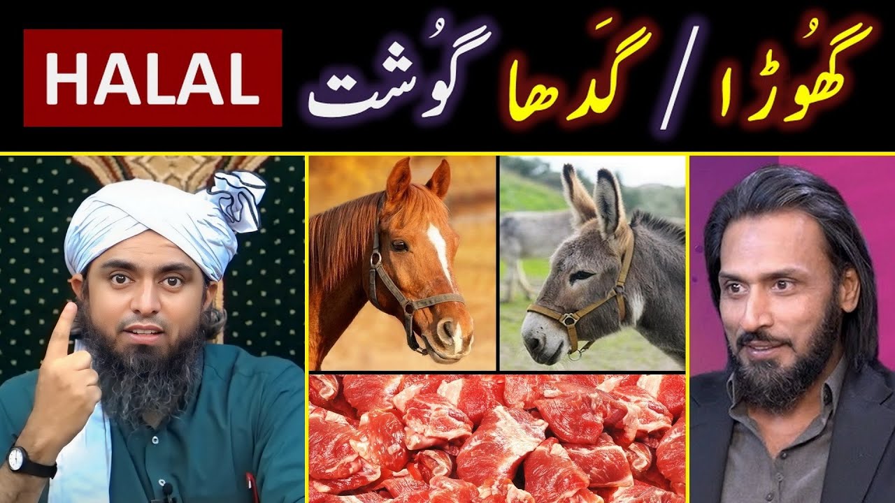🔥 Donkey Meat Scandal ? ❤️ Reply to Sahil Adeem حفظہ اللہ on Halal & Haram ? 🔥 Engineer Muhammad Ali