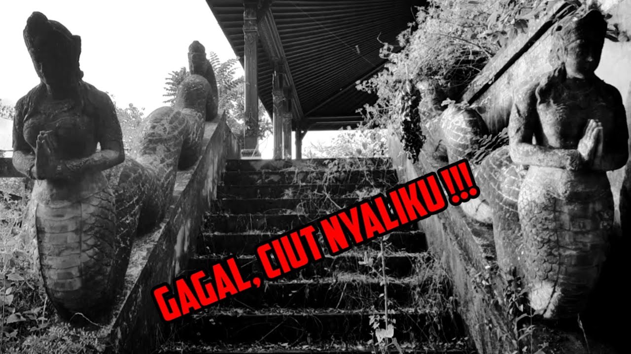 VIRAL‼️NEKAD MASUK ISTANA BLORONG , ini yg terjadi...