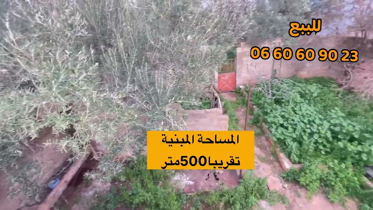 أرض فلاحية محفظة ومسكن للبيع بمدينة #البهاليل 🤩