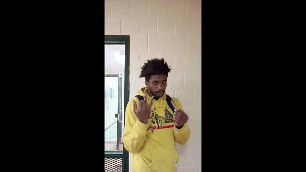 vi$ion  splat