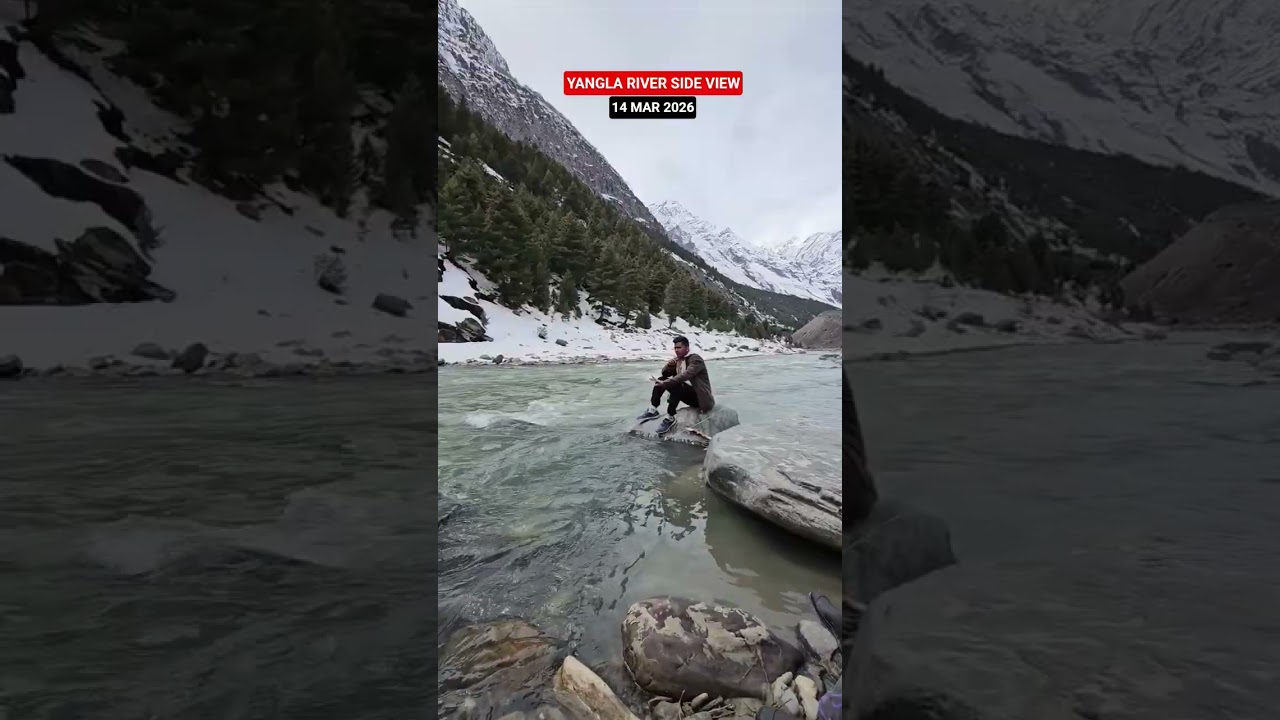 Today Yangla River Side View || #manali #yangla #snow #riverview #latestvideo