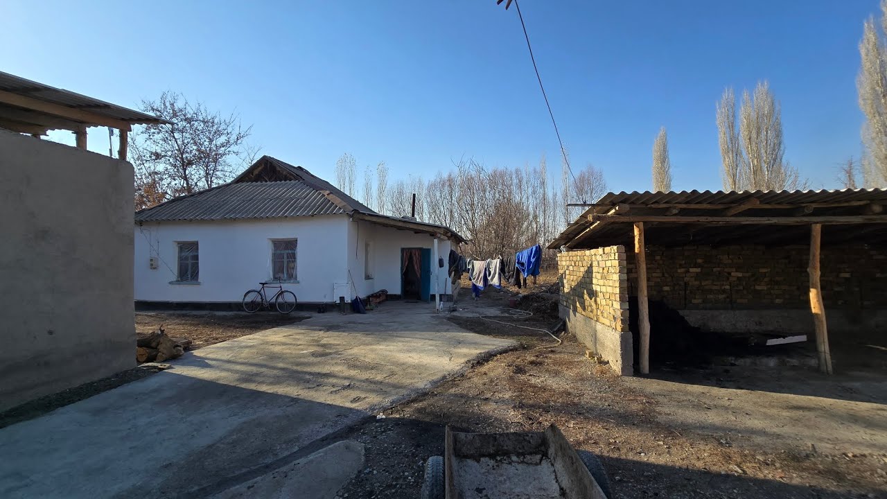 Там сатылат Покровкада Тологон кочосу