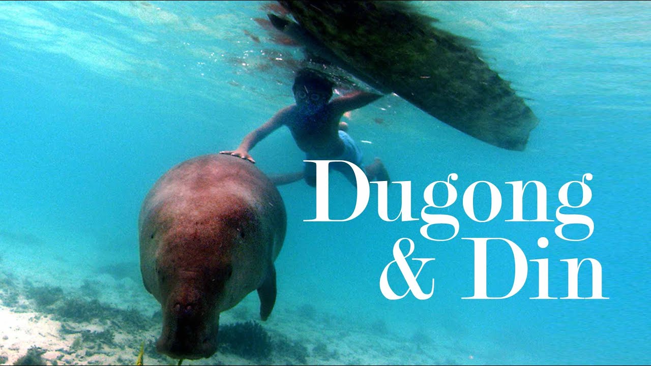 Dugong & Din | Trailer | iwonder.com