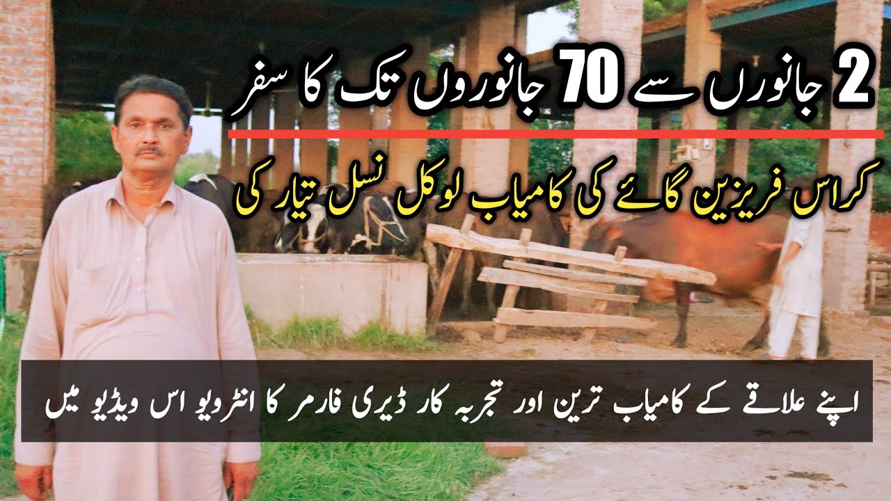 Malik Faiz Dairy Farm | Dairy Farming in Pakistan | Success Story of a Dairy Farmer