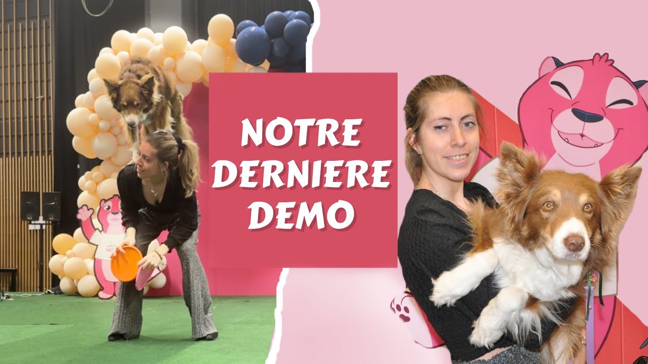 Ce weekend de spectacle m’a bouleversé ! 🥲 (Salon des Ani’Meaux 2025 🇫🇷)