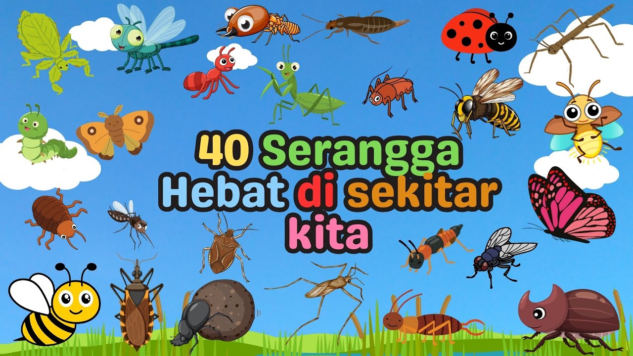Belajar Mengenal Nama Serangga | Learning Insect Names | 40 Nama Serangga | For Kids