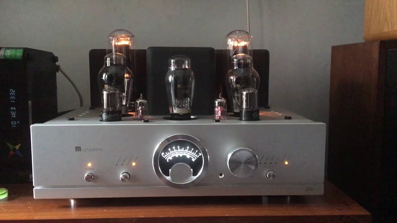 Muzishare R100 v2 300B -845