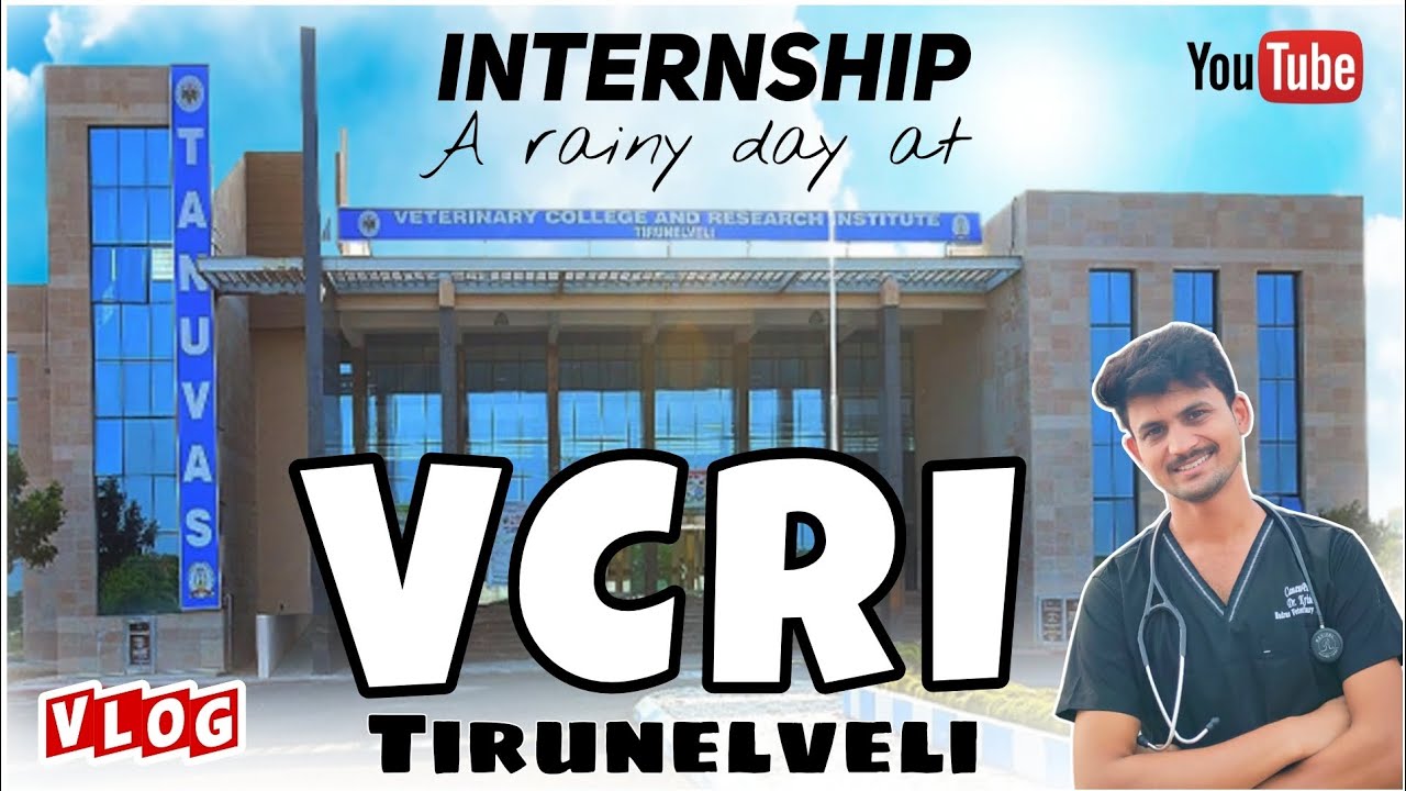 A Rainy day at VCRI Tirunelveli || TANUVAS || Veterinary College Research Institute Tirunelveli