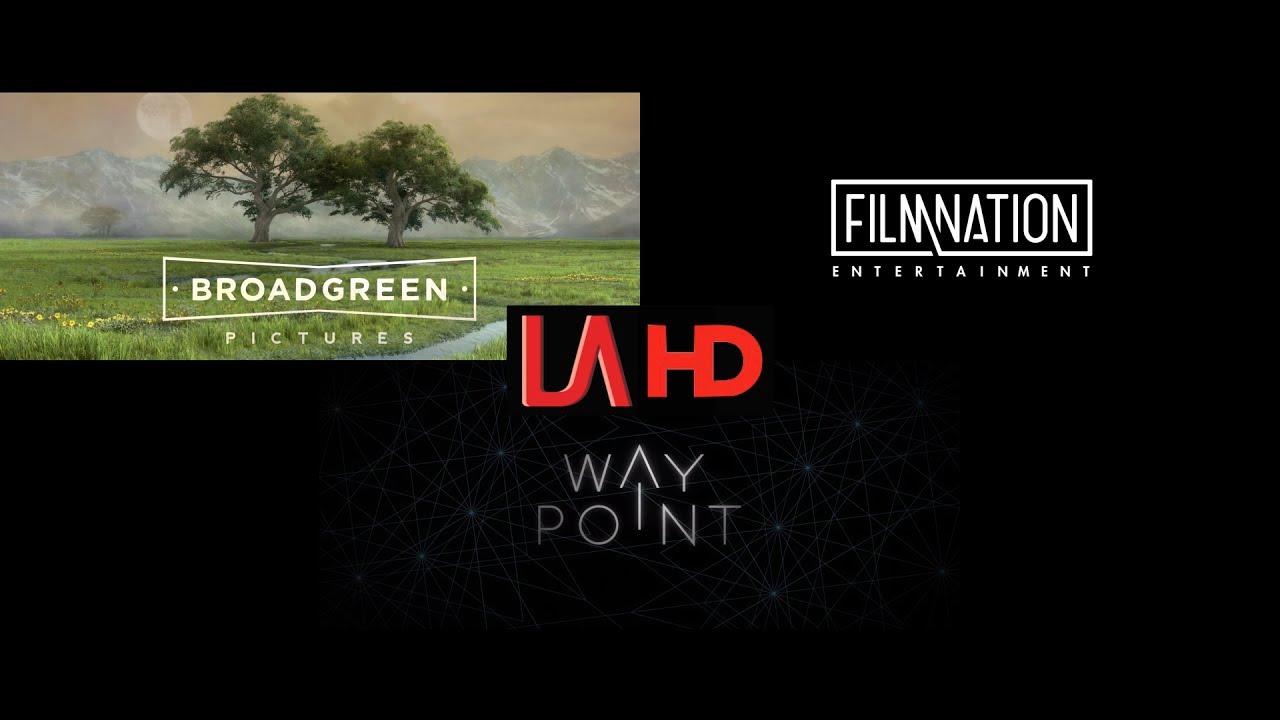 Broad Green Pictures/FilmNation Entertainment/Waypoint