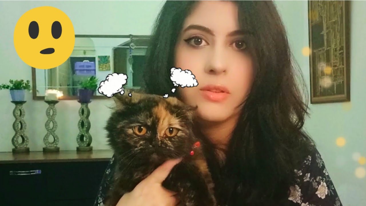 اسباب ريحه الفم الكريهه عند القطط وطريقه تنظيف أسنانهم 🪥😻