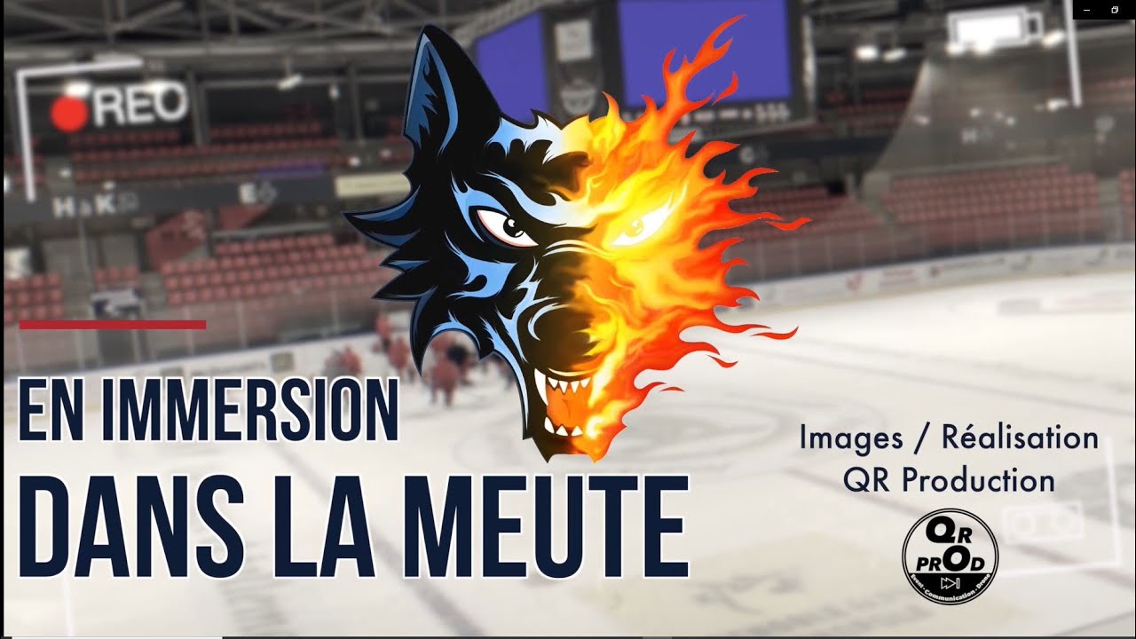 En immersion dans la meute I Episode 1