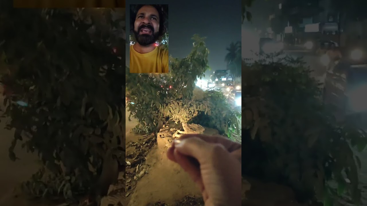 Save Trees Save Karachi 🌳 | Kya Darakhton Ko Bachaya Ja Sakta Hai? | 