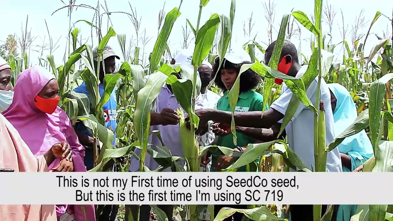 Kaduna Farmer's Field Day