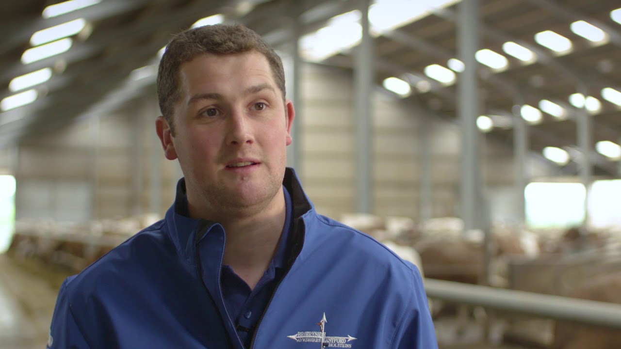 Kevin Lawrie- Dairy Farmer