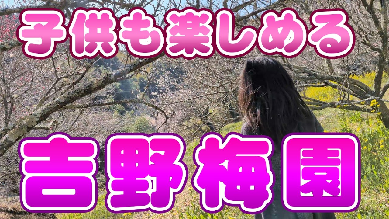 【家族向けおでかけオススメ！】吉野梅園
