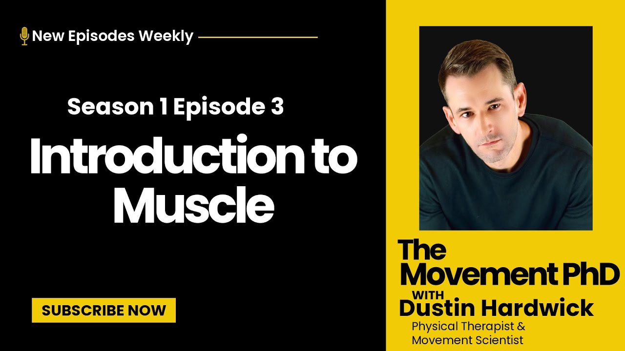 Introduction to Muscle: Anatomy, Sarcomere, Innervation, and Force Generation.