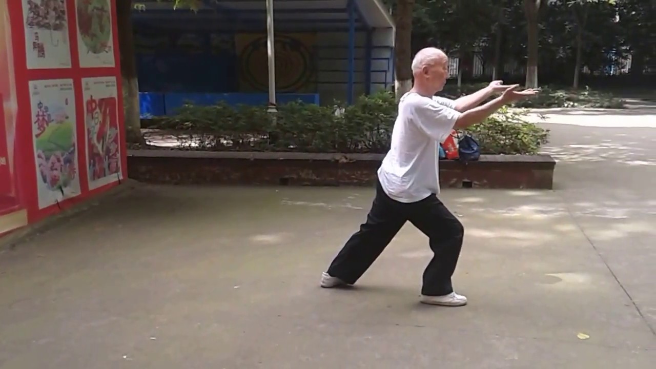 Dayan Soft Palms Qigong  2016 - GM Chen Chuangang大雁绵掌