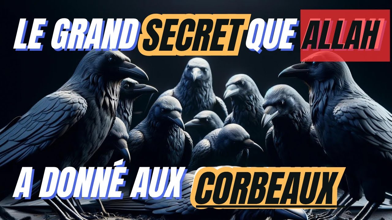LE GRAND MYSTÈRE QUE ALLAH A DONNÉ AUX CORBEAUX - RÉVÉLÉ IL Y A 1400 ANS !