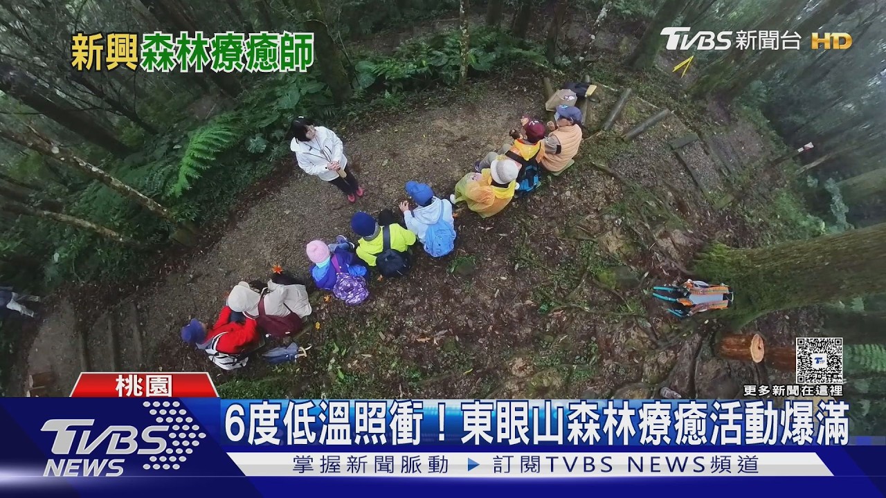 6度低溫照衝! 東眼山森林療癒活動爆滿｜十點不一樣20260221 @TVBSNEWS01