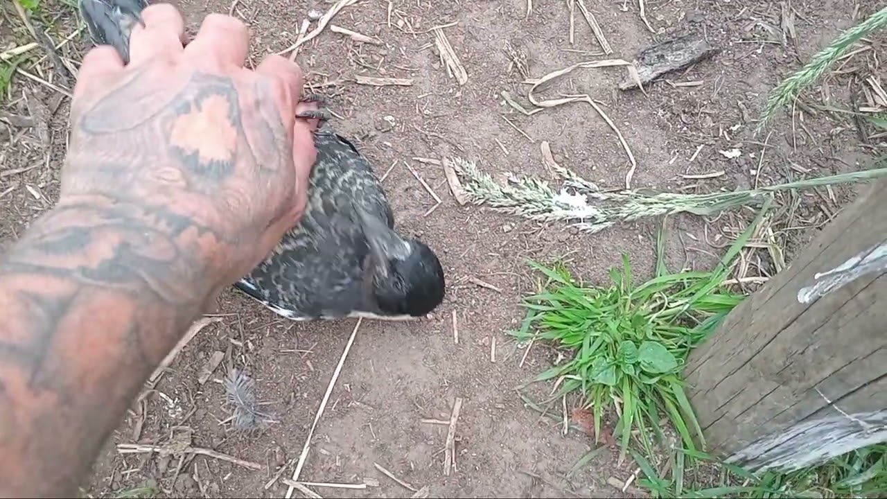 Playing with Maggie