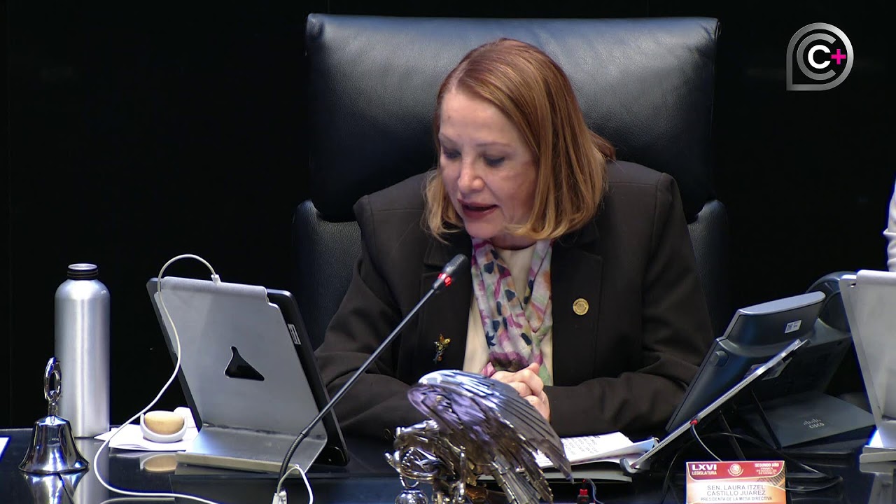 Segunda parte de la sesión de la Cámara de Senadores, del 4 de diciembre de 2025