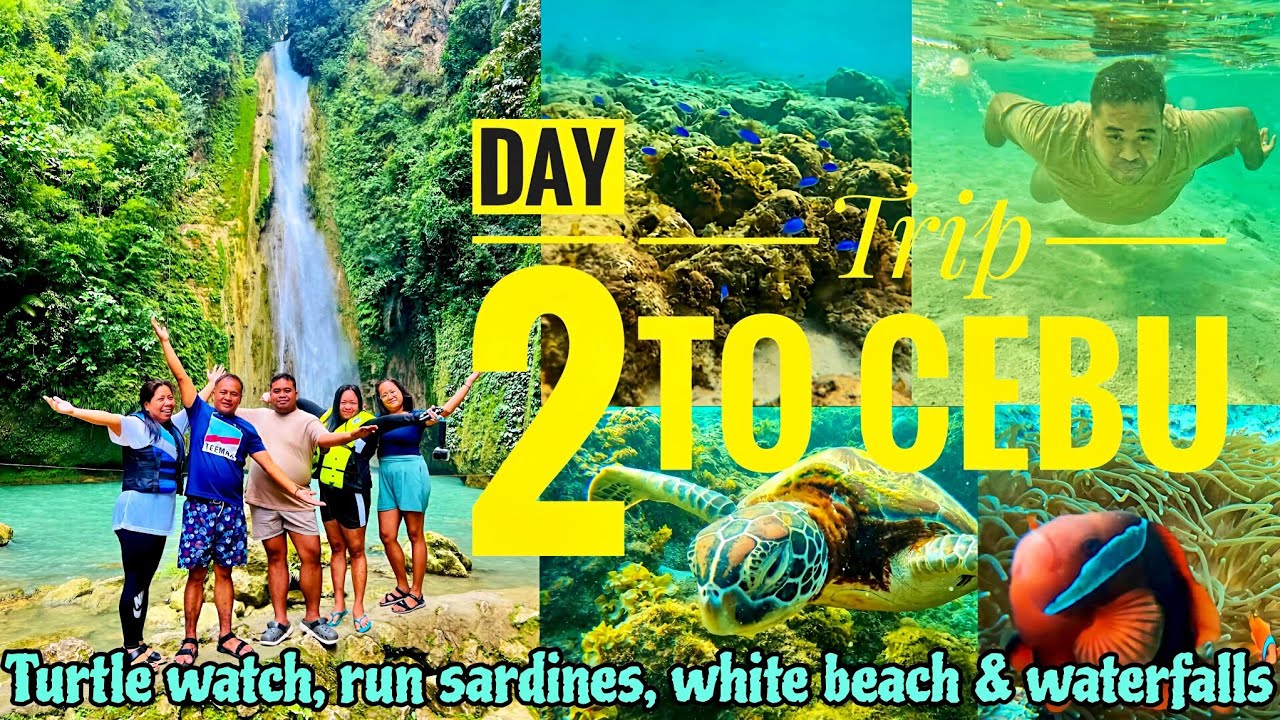 Trip to Cebu | Day 2 - Turtle Watch, Sardines Run, White Sand Beach & Waterfalls