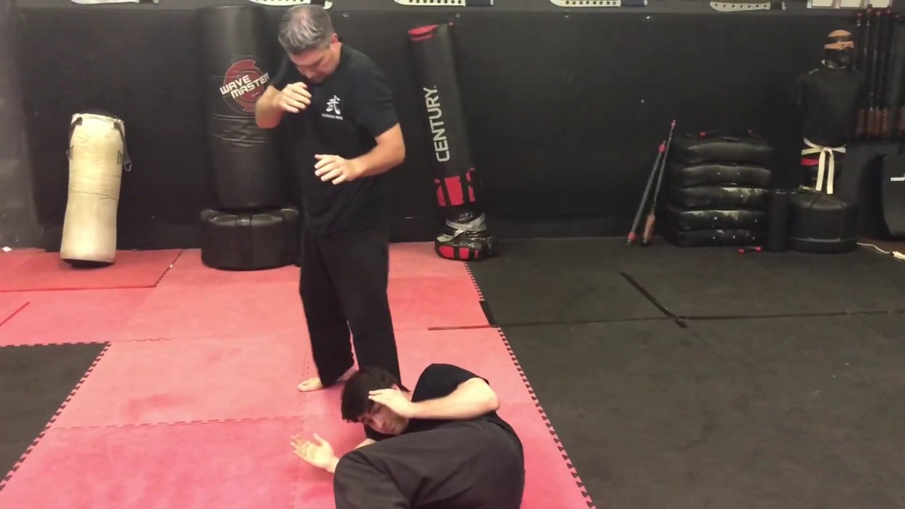 Karate | Krav Maga | Self Defense Skills | Reality Based Fighting Skills