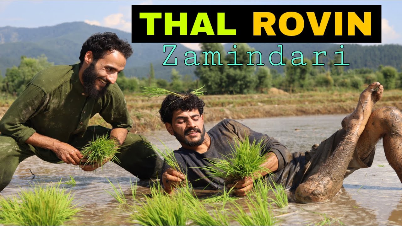 Thal Rovin Kashmiri Funny Drama