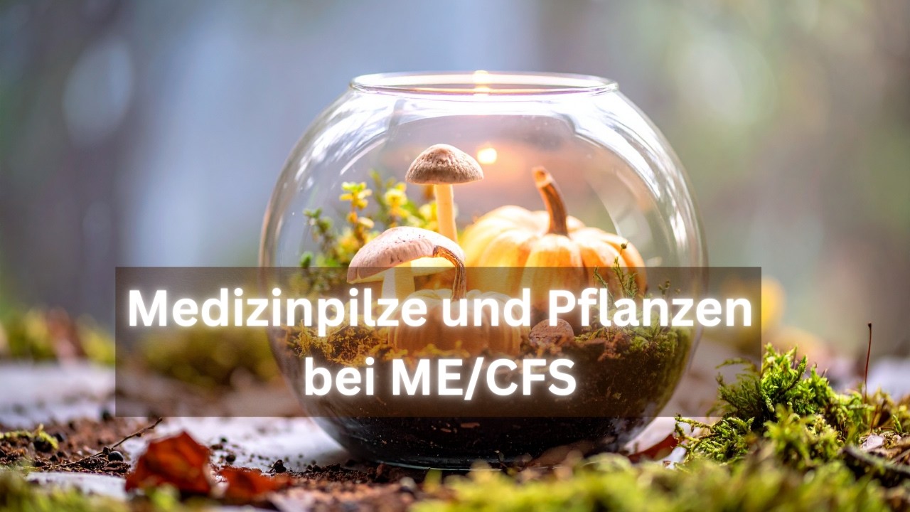 Medizinpilze & Heilpflanzen bei ME/CFS: Reishi, Cordyceps, Rhodiola & Co. 2025/26